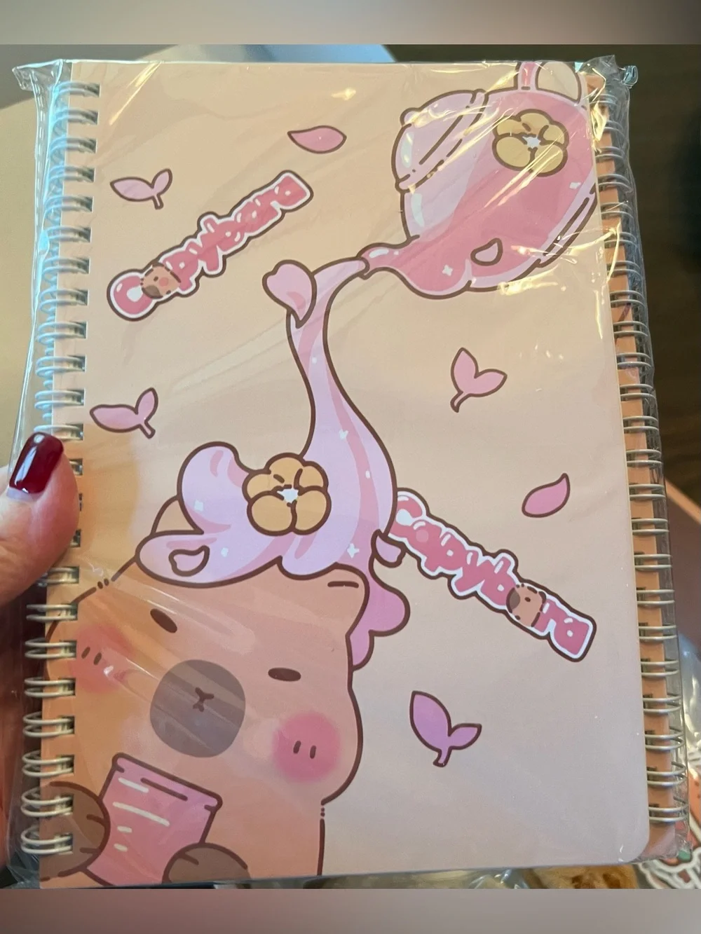 Capybara Kids Stationary  Box -   Notepads, pens, Stamps, stickers etc